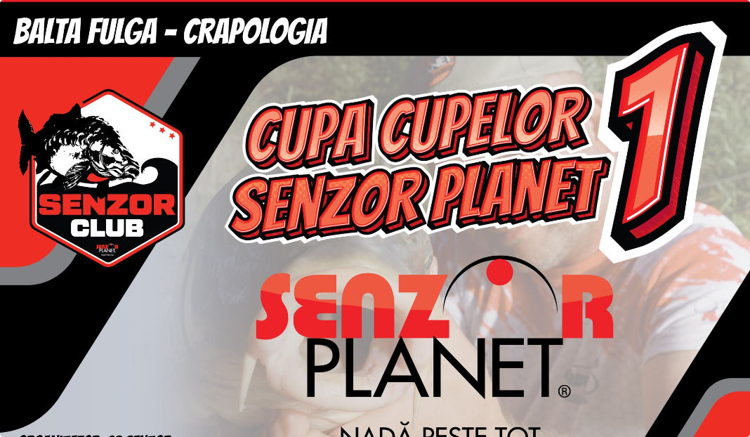 396268899_638794221756298_2524423398059212060_n_5